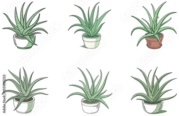 Obraz Aloe Vera in Pot Vector Designs Set Cute and Minimal Succulent Plant Clipart Collection