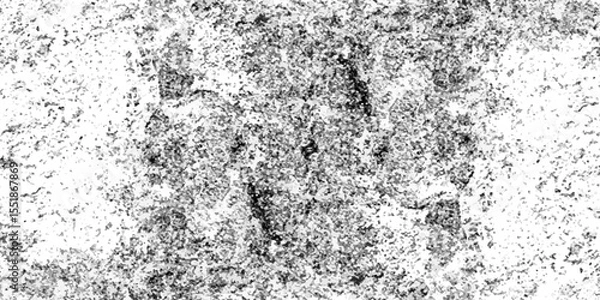 Obraz Abstract Texture of black and white grunge style, Grain noise particles, The texture of the old surface in cracks, chips, dust.
