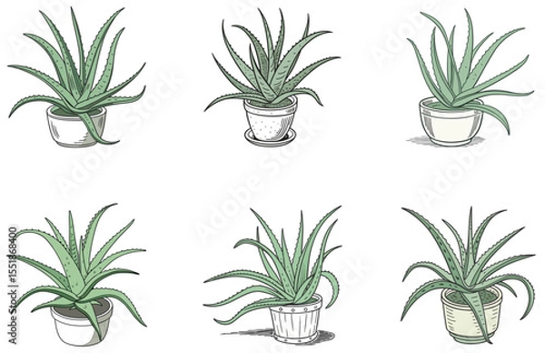 Obraz Aloe Vera in Pot Vector Designs Set Flat Minimal Succulent Illustrations for Creative Projects
