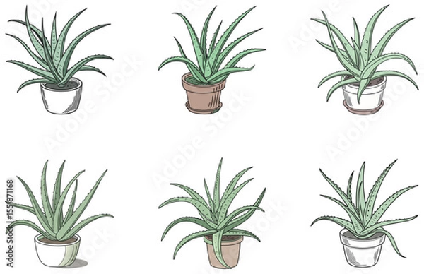 Obraz Aloe Vera in Pot Vector Designs Set Minimal Flat Succulent Clipart for Print and Digital