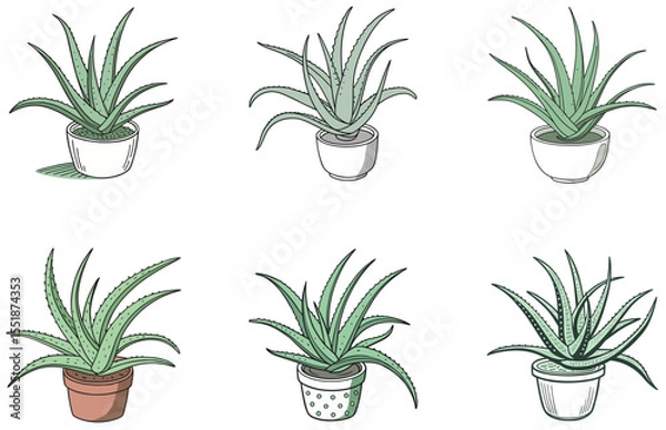 Obraz Aloe Vera in Pot Vector Designs Set Minimal Flat Succulent Illustrations for Decor and Crafts
