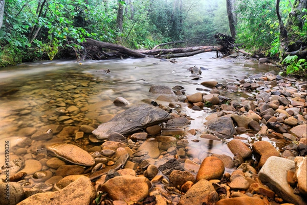 Obraz San - Bieszczady