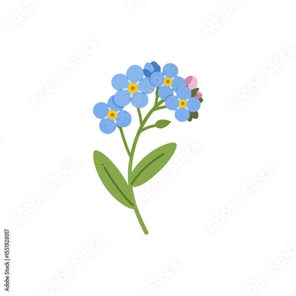 Fototapeta Colorful flat icon of forget me not flower with no white
