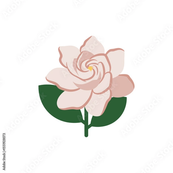 Fototapeta Colorful flat icon of gardenia with no white