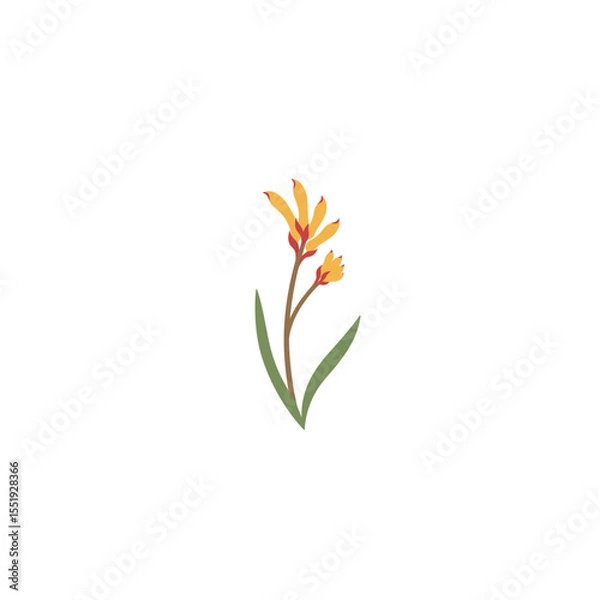 Fototapeta Colorful flat icon of kangaroo paw flower with no white