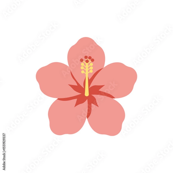 Fototapeta  Colorful flat icon of Texas star hibiscus flower with no white