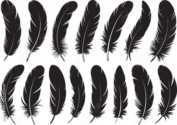 Fototapeta Feather Silhouettes Collection for Elegant Design Elements and Decorative Accents, Featuring Detailed Plumes and Delicate Shapes for Artistic Compositions