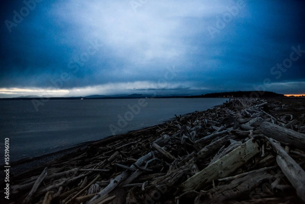 Fototapeta Dramatic Dark Cloud Movement Develop Over Keystone Beach Washington Where The Ocean Shore Pile With Drift Woods On A Very Cold Winter Sunset