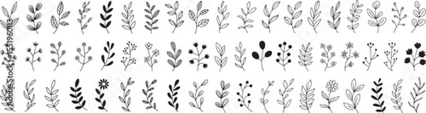 Fototapeta Botanical Branch and Leaf Doodle Set: Hand-Drawn Foliage Elements for Natural Design Accents on a Black Backdrop, Perfect for Invitations and Illustrations