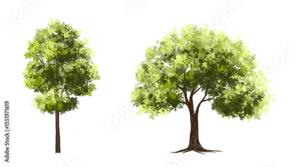 Fototapeta  Vector watercolor green  tree or forest side view isolated on white background for landscape and architecture drawing,elements for environment or and garden,Shrub for section