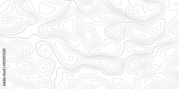 Obraz Abstract topographic map background. Topographic map lines contour background. 
