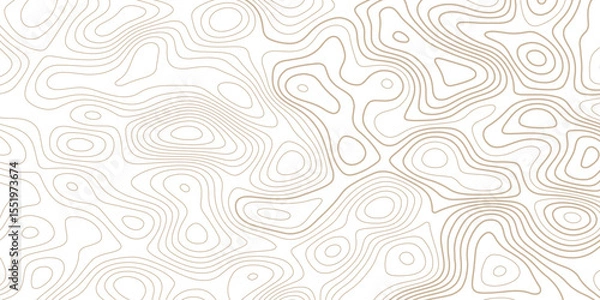 Obraz Abstract topographic map background. Topographic map lines contour background. 
