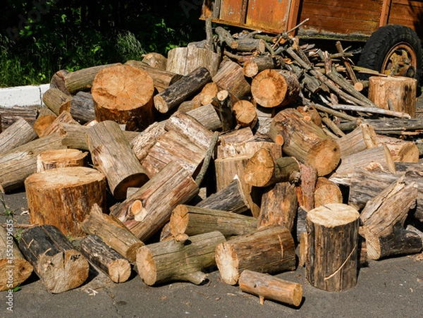 Fototapeta Logs from trees for firewood.