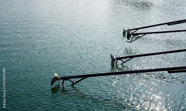 Obraz Close up of a long tail boat propeller above water.