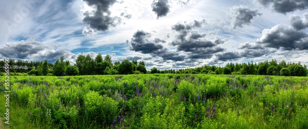 Obraz Summer panorama landscape with blue sky in soft white clouds over green field of grass. Beautiful natural countryside. Nature rural scene with copy space for design