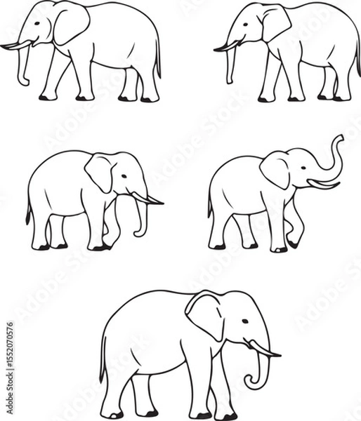 Fototapeta Elephant Line Art: Five Detailed Drawings of African Elephants in Various Poses – Perfect for Illustrations, Prints, and Designs
