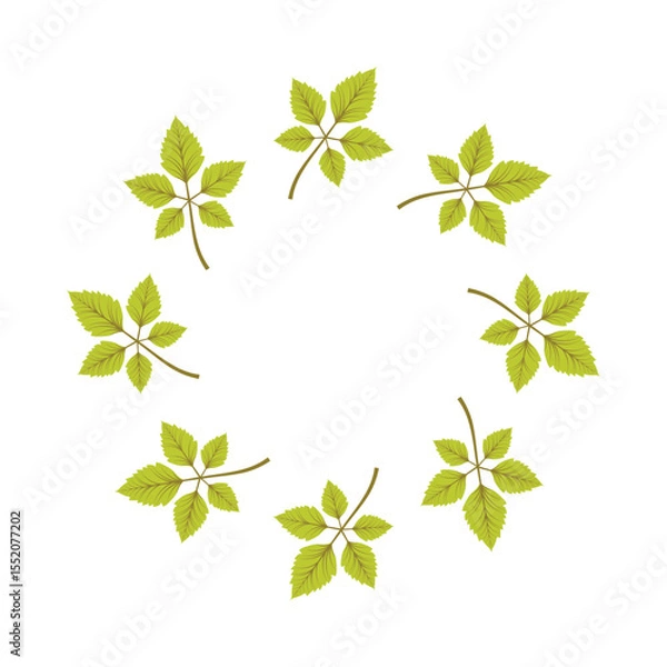 Fototapeta Circular Frame of Eight Green Leaves;  Nature, Botanical, Spring Theme;  Clean, Simple Design.