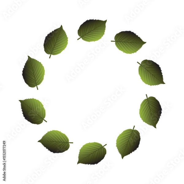 Fototapeta Green Leaves Circular Frame: Nature, Eco, Spring, Summer, Design Element,  Botanical Illustration,  White Background.