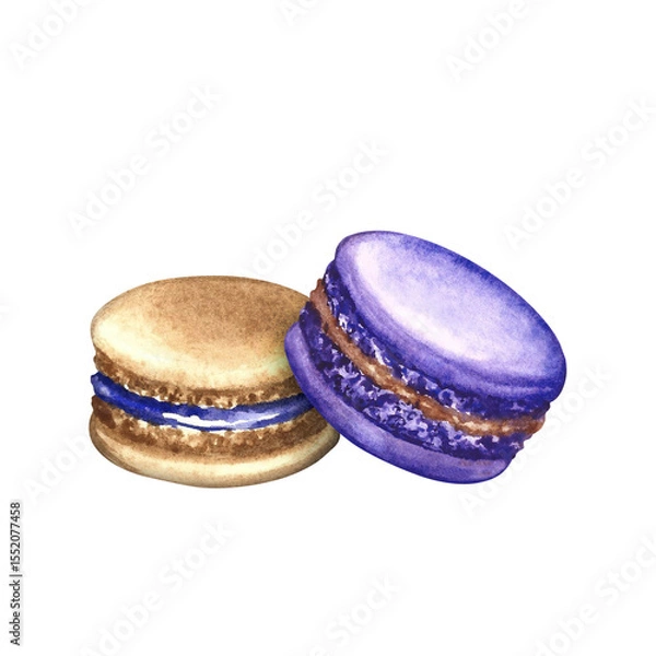 Fototapeta Macaron cookies. Hand-drawn watercolor illustration. Purple and bread color. Isolation. Almond confectionery. Element of your design. For banners, websites and packaging, menus, flyers and more.