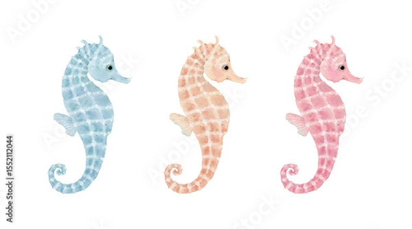 Obraz Cute seahorse in different colored, watercolor isolated illustration for your design, hand-drawn set of sea animals.