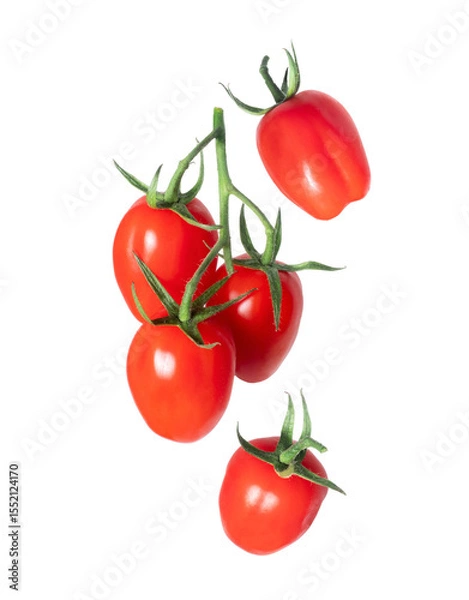 Fototapeta Ripe cherry tomatoes on vine on a transparent background
