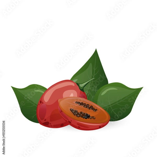 Fototapeta Tamarillo. Exotic tropical tomato tree fruit. For food blogs or recipe websites, packaging, catalogs or educational posters, menus, printables and teaching materials