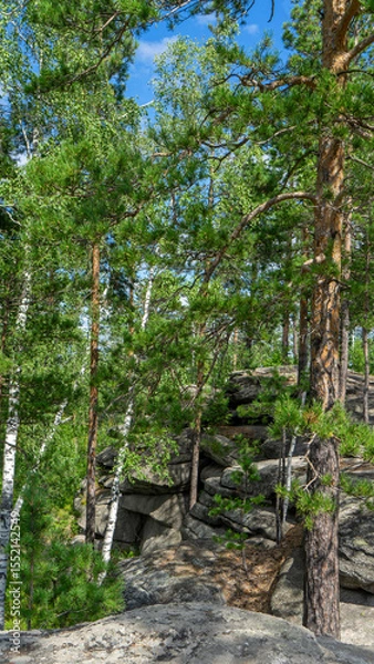 Fototapeta Small Devils rock, Devil's Hillfort complex on sunny summer day. Iset Park, Iset village, Sverdlovsk region, Russia. Hiking. Pine trees on rock. Vertical image