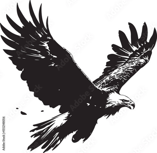 Obraz Majestic Black and White Eagle in Flight, Vector Illustration