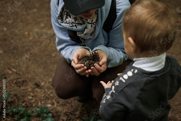 Obraz 
Close-up of mom showing pine cones to toddler during nature walk. Mother and child exploring forest, outdoor learning moment, connection with nature.