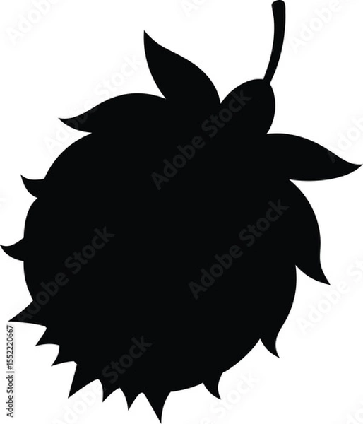 Obraz Silhouette of a Raspberry A Simple, Elegant Vector Illustration