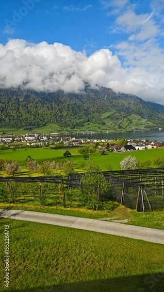Fototapeta landscape with green fields
