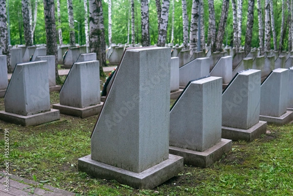 Obraz Tombstones in a grove of birch trees in summer