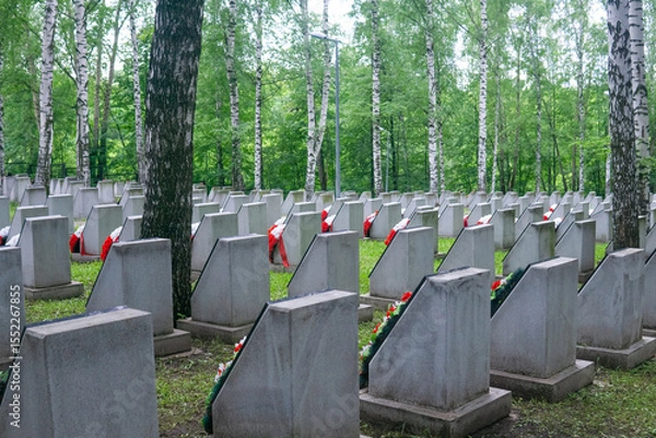 Obraz Tombstones in the cemetery in a birch grove.