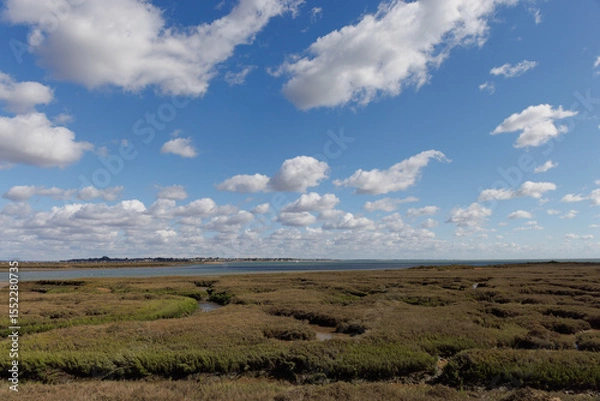 Obraz clouds over the field