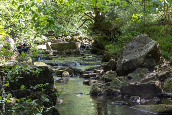 Obraz small waterfall in the forest
