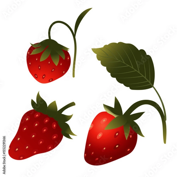 Obraz Set of strawberry berries. Vector illustration isolated on white background.