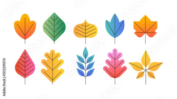 Fototapeta Collection of geometrical autumn leaves. Colorful botanical icons set.