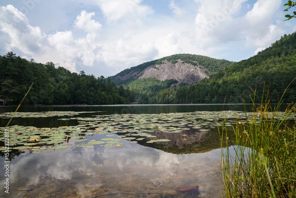 Fototapeta Nestled in the corner of Fairfield Lake in Sapphire, NC, reflections of Bald Rock with lily pads.