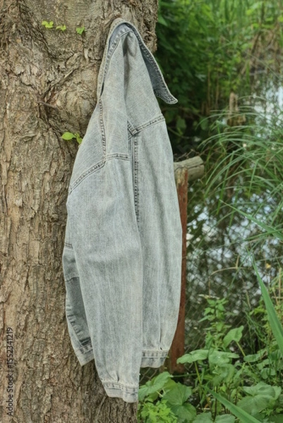 Fototapeta one gray cotton jacket hangs on the branches of a tree with green leaves in a summer garden