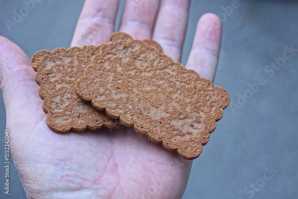 Fototapeta two brown biscuit cookies lie on the palm of a hand on a gray background on a summer street
