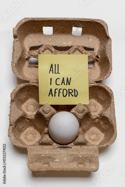 Fototapeta Food prices too high – single egg in cardboard carton with note about affordability