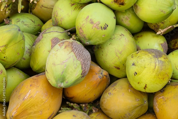 Fototapeta Tropical Coconuts in Varying Stages of Ripeness Displayed in a Rustic Market, coconut concept