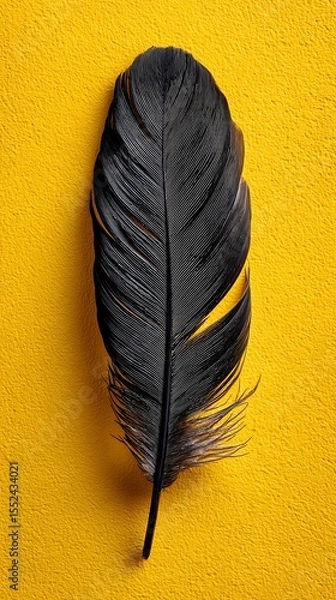 Fototapeta Single floating black feather on bright yellow background, studio lighting, minimalistic style