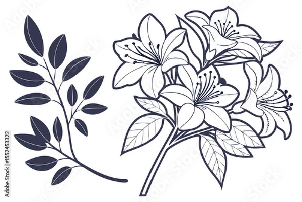 Obraz Azalea Silhouette Graphic for Printing and Design