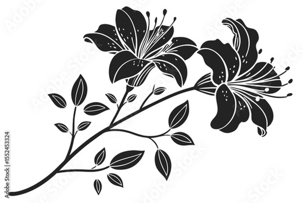 Obraz Black and White Azalea Flower Design Elements