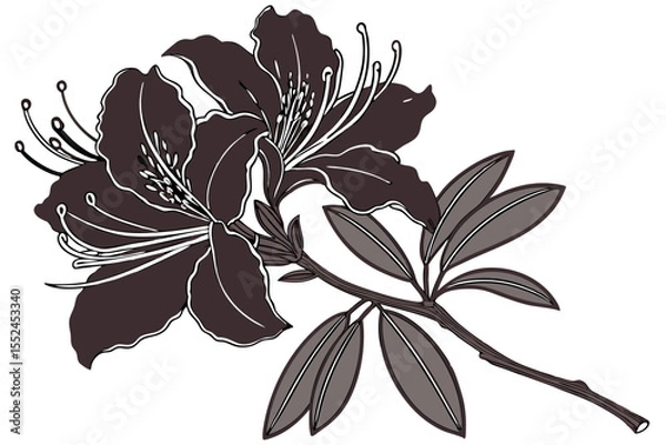 Obraz Black Azalea Flower Vector Design