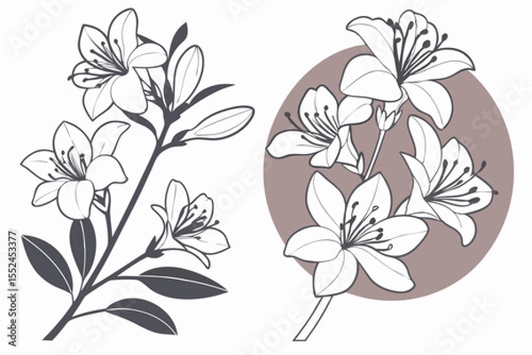 Obraz Elegant Azalea Silhouette Clipart Collection