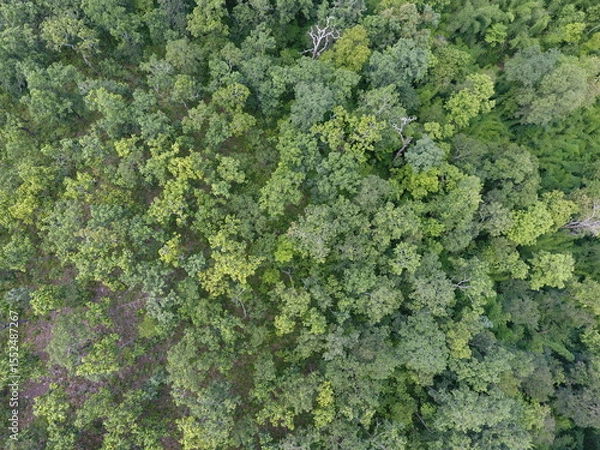 Fototapeta Top View Aerial Photograph
