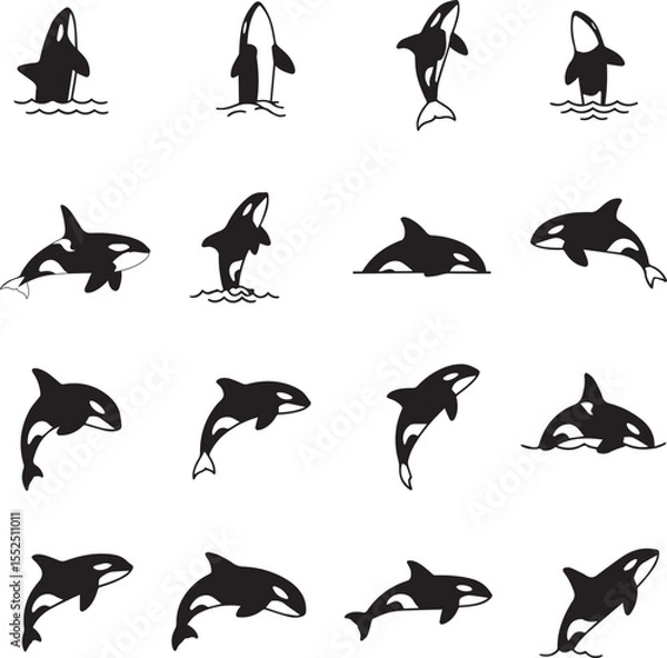Fototapeta Orca Whale Vector Bundle – Cartoon, Silhouette, and Flat Style Set