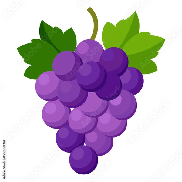 Fototapeta Grapes  white background